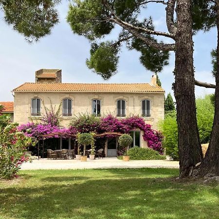Maison Tara Verte Au Mas Montredon Arles Dış mekan fotoğraf