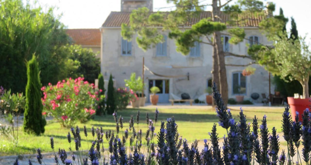 Maison Tara Verte Au Mas Montredon Arles Dış mekan fotoğraf