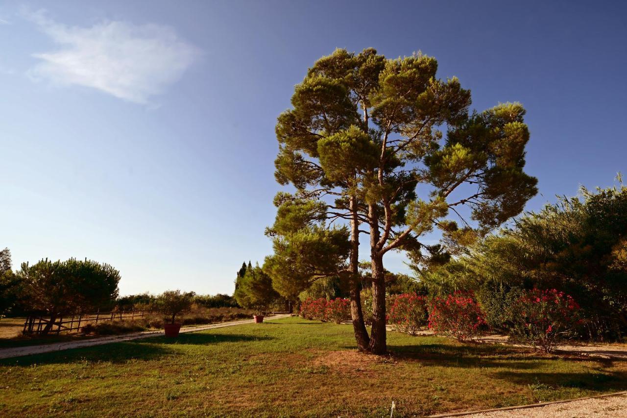 Maison Tara Verte Au Mas Montredon Arles Dış mekan fotoğraf