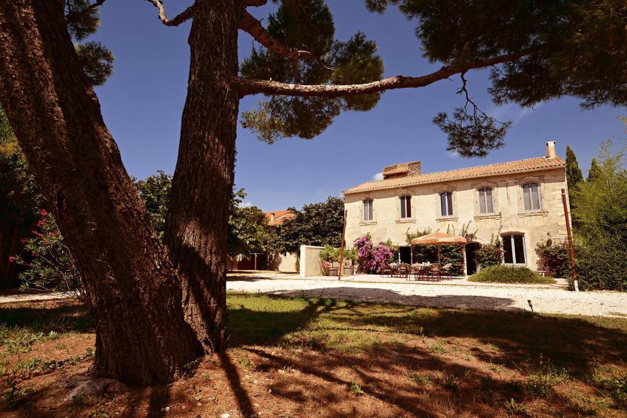 Maison Tara Verte Au Mas Montredon Arles Dış mekan fotoğraf