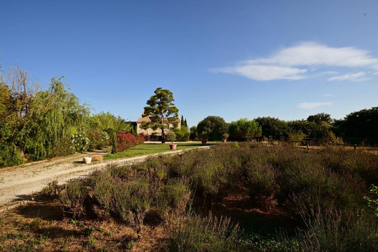 Maison Tara Verte Au Mas Montredon Arles Dış mekan fotoğraf