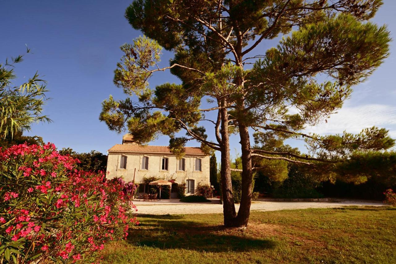 Maison Tara Verte Au Mas Montredon Arles Dış mekan fotoğraf