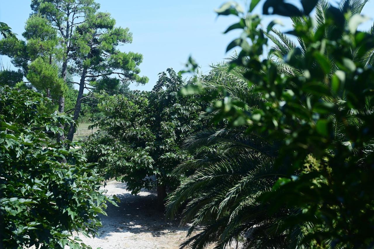 Maison Tara Verte Au Mas Montredon Arles Dış mekan fotoğraf