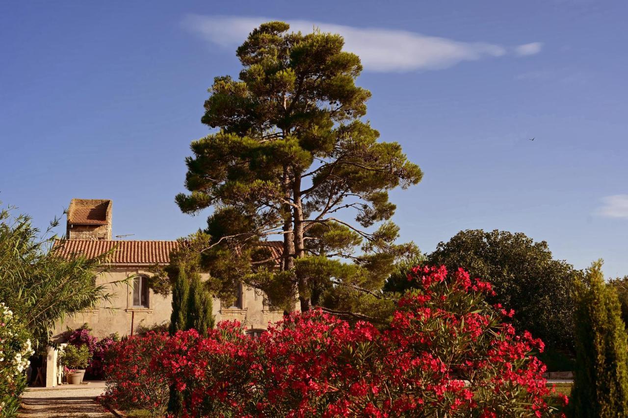 Maison Tara Verte Au Mas Montredon Arles Dış mekan fotoğraf
