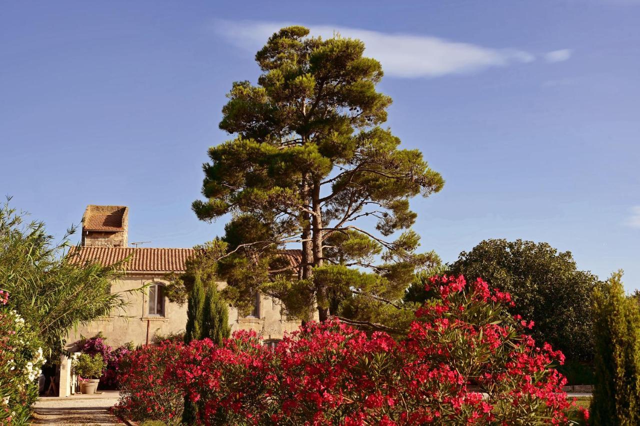 Maison Tara Verte Au Mas Montredon Arles Dış mekan fotoğraf