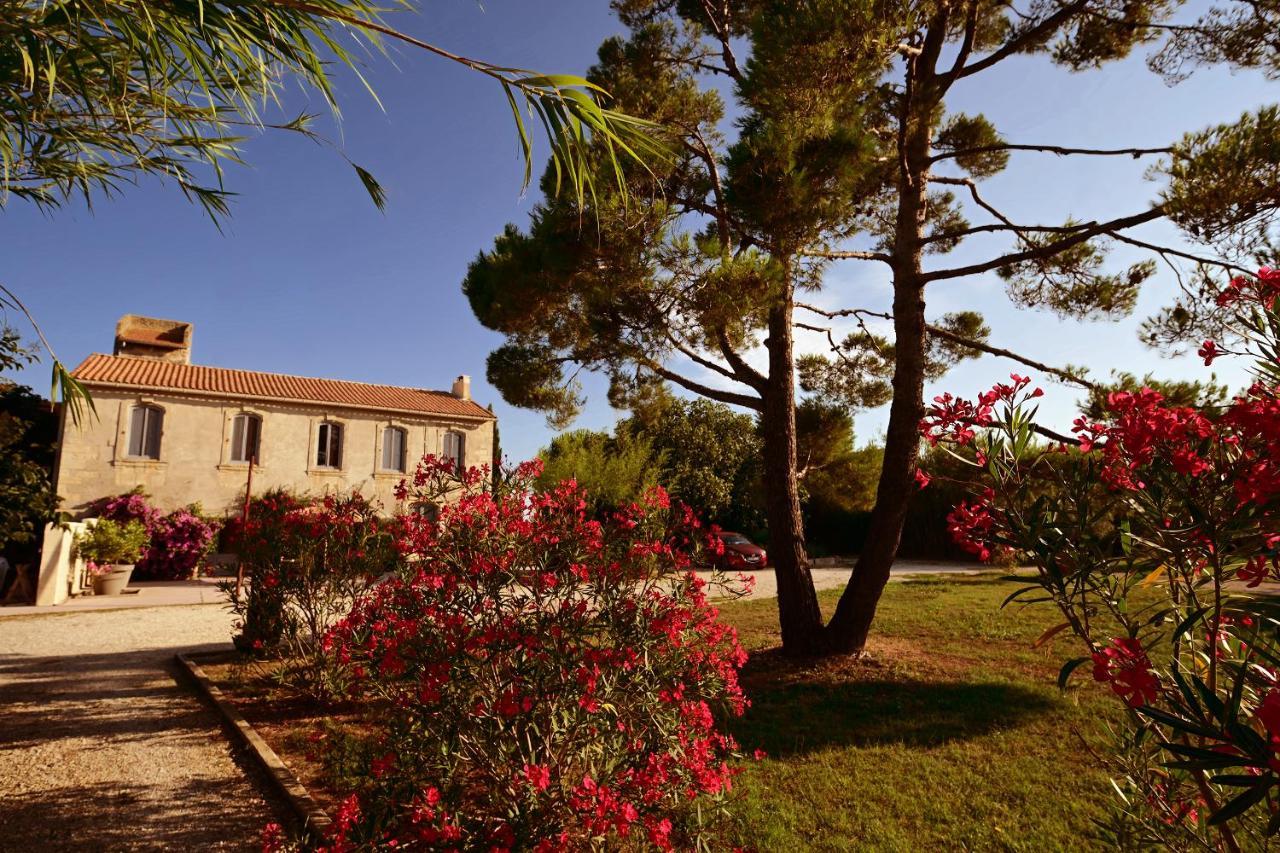Maison Tara Verte Au Mas Montredon Arles Dış mekan fotoğraf