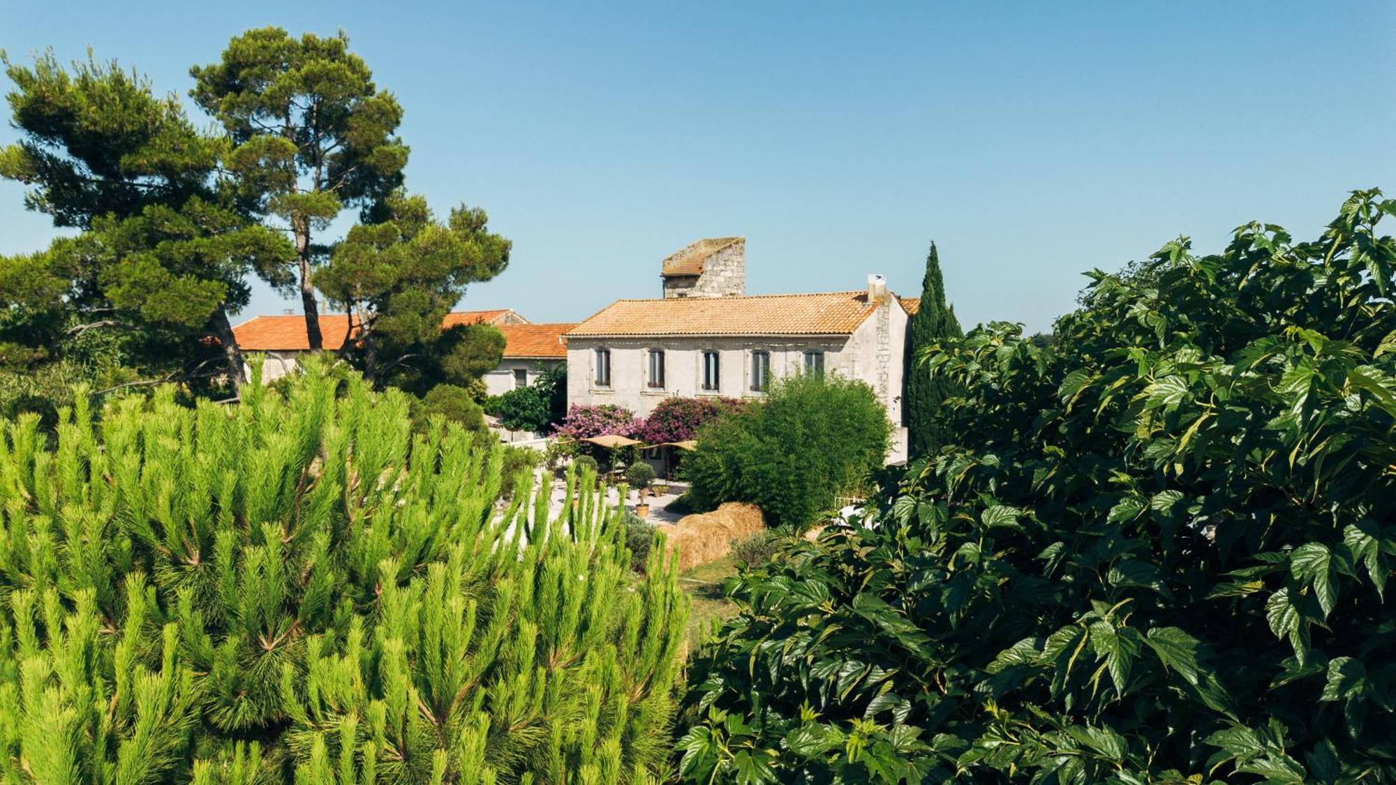 Maison Tara Verte Au Mas Montredon Arles Dış mekan fotoğraf