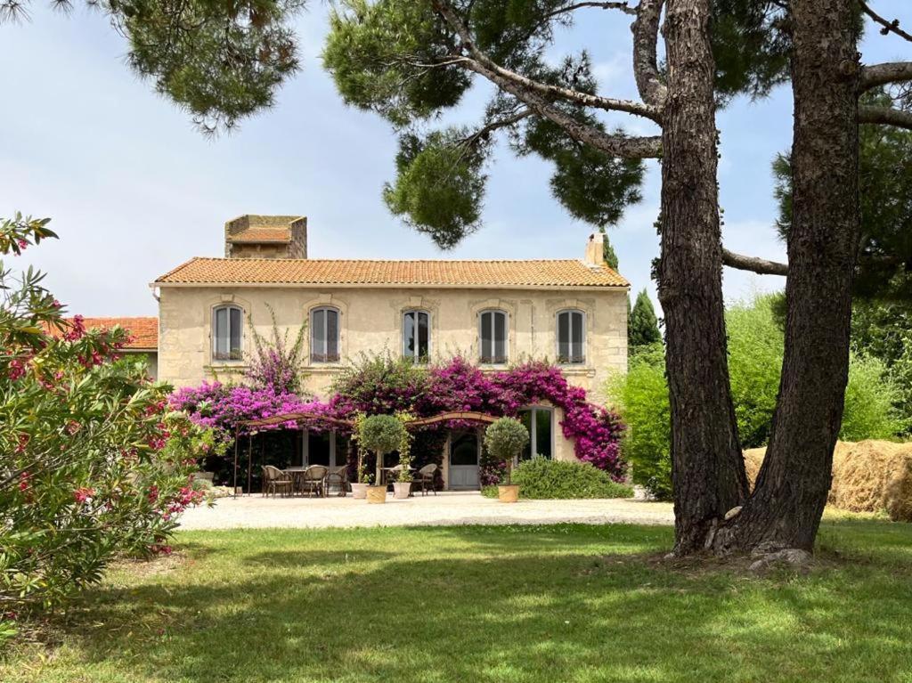 Maison Tara Verte Au Mas Montredon Arles Dış mekan fotoğraf